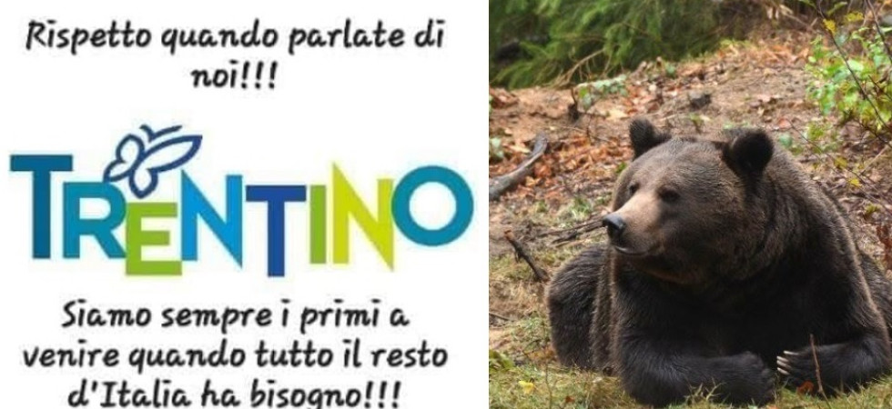 "Rispetto quando parlate di noi", virale un post con il marchio depositato Trentino''